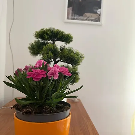 Mazsola Apartment