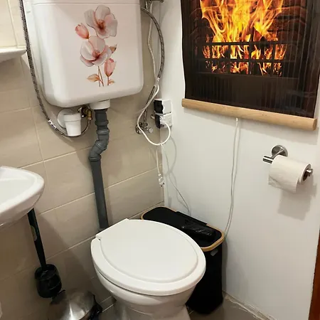 Mazsola Hódmezővásárhely